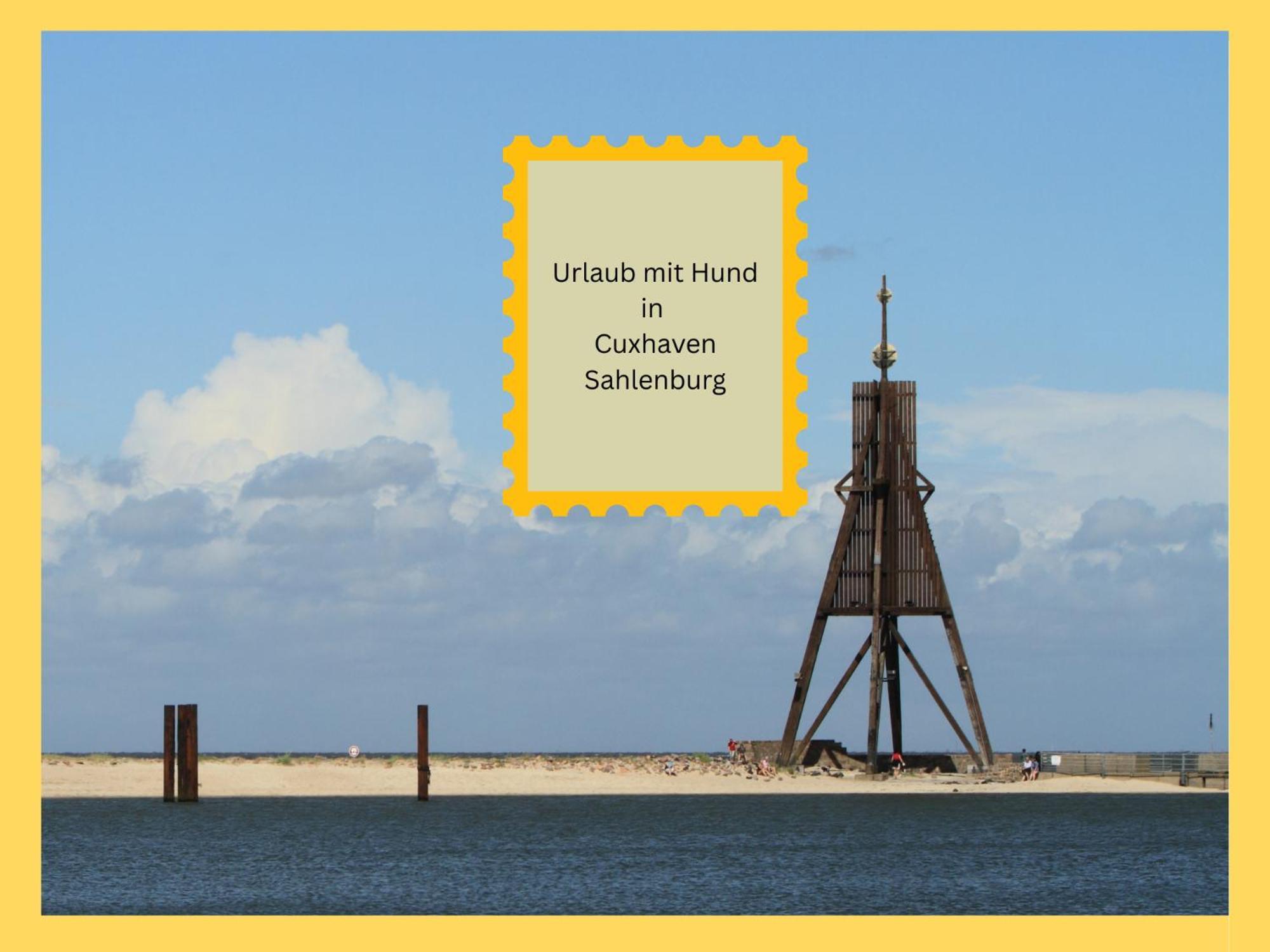 Strandloft Cuxhaven Im Haus Frauenpreiss Sahlenburg - Strandnah - 2 Hunde Willkommen -Schwimmbad - Sauna - Direkt Am Wald - Dachterrasse Mit Blick Nach Neuwerk Kültér fotó