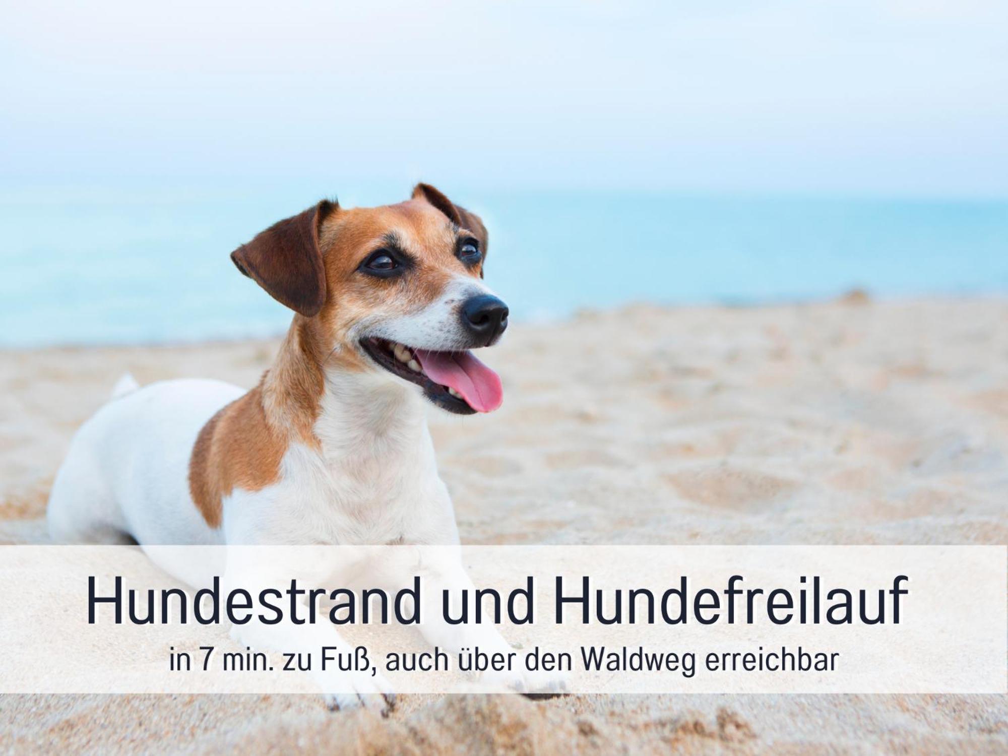 Strandloft Cuxhaven Im Haus Frauenpreiss Sahlenburg - Strandnah - 2 Hunde Willkommen -Schwimmbad - Sauna - Direkt Am Wald - Dachterrasse Mit Blick Nach Neuwerk Kültér fotó